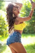 Foto Immagine Pamy Trans Genova 3891473351 - 74