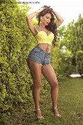 Foto Immagine Pamy Trans Genova 3891473351 - 69