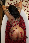 Foto Immagine Pamy Trans Genova 3891473351 - 17