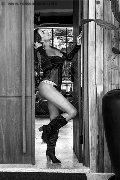 Foto Immagine Paty Ferrary Transescort Rio De Janeiro 005521974294018 - 6
