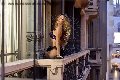 Foto Immagine Rayca Transescort San Gallo 3485638746 - 236