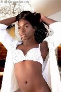 Foto Immagine Safira Snt'z  Trans Alba Adriatica 3278243596 - 34