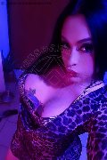 Frosinone Trans Escort Camilla Sexy Bambola 329 70 99 256 foto selfie 4