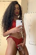 Firenze Trans Escort Miele 328 42 56 421 foto selfie 79