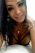 Aarau Trans Escort Mystere  0041779498091 foto selfie 41