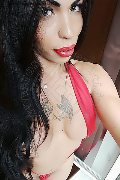 Vercelli Trans Escort Rayla Rios 329 38 77 403 foto selfie 33