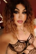 Bologna Trans Rosa Xxxl 328 74 36 345 foto selfie 15