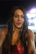 Feltre Trans Escort Rosalinda Wonder 351 17 13 169 foto selfie 3