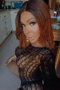 Frosinone Trans Escort Wanessa Armani 351 80 69 231 foto selfie 7