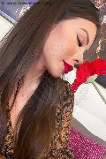 Foto Immagine Thais Ferraz Transescort Roma 3206171055 - 34
