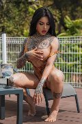 Foto Immagine Ts Clary Santos Transescort Madrid 0034612216651 - 10