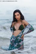 Foto Immagine Vanessa Hilton Trans Modena 3245846577 - 113