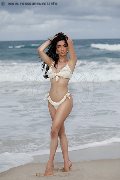 Foto Immagine Vanessa Hilton Transescort Modena 3245846577 - 108