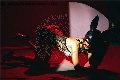 Foto Immagine Vanessa Hilton Transescort Modena 3245846577 - 129