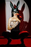 Foto Immagine Vanessa Hilton Transescort Modena 3245846577 - 128
