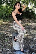 Foto Immagine Adriana Paulett Transescort 3891399263 - 311