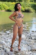 Foto Immagine Adriana Paulett Transescort 3891399263 - 388