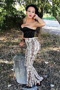 Foto Immagine Adriana Paulett Transescort 3891399263 - 309