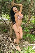 Foto Immagine Adriana Paulett Transescort 3891399263 - 84