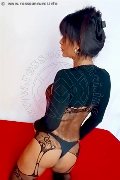 Foto Immagine Beatrice Transescort Brescia 3927192096 - 31