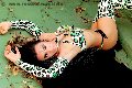 Foto Immagine Bella Solare Trans Giussano 3347416269 - 23