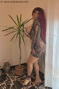 Foto Immagine Carolina Sexy Transescort Siena 3486599498 - 10