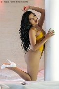 Foto Immagine Celeste New Trans Civitanova Marche 3511837392 - 22