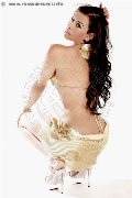 Foto Immagine Daniela Hot Trans Palermo 3284691236 - 35
