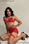 Foto Immagine Elisa Trav Milano 3512604780 - 6