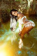 Foto Immagine Hillary Brasiliana Trans Alba Adriatica 3384136322 - 99