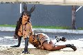 Foto Immagine Hillary Brasiliana Trans Alba Adriatica 3384136322 - 77