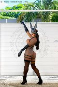 Foto Immagine Hillary Brasiliana Transescort Alba Adriatica 3384136322 - 71