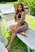 Foto Immagine Hillary Brasiliana Transescort Alba Adriatica 3384136322 - 43