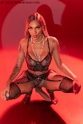 Foto Immagine Hot Barbie Black Transescort Milano 3924464272 - 5