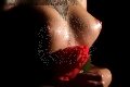 Foto Immagine Lisa Escort Stoccarda 00491748490028 - 6