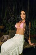 Foto Immagine Pamelita Trans Roma 3311507952 - 60
