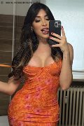 Torino Trans Escort Safina 334 25 85 465 foto selfie 4