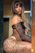Foto Immagine Sofia Trans Torino 3473029531 - 12