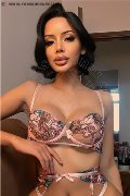 Foto Immagine Sonya Escort Udine 3803734851 - 1