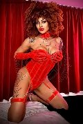 Foto Immagine Stella Transescort Milano 3295563971 - 11