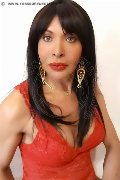 Foto Immagine Tain� Oliveira Trans Prato 3285382487 - 51