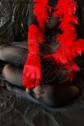 Foto Immagine Tiny Mouse Escort Venezia 3284690312 - 4