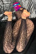 Foto Immagine Tiny Mouse Escort Venezia 3284690312 - 9