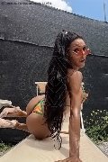 Foto Immagine Wanessa Ambrosio Transescort Frosinone 3518069231 - 16